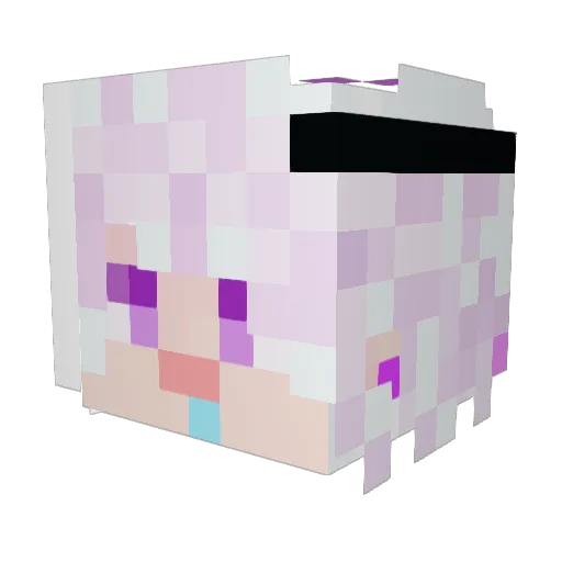 Rieul___ Minecraft avatar head, 3D render