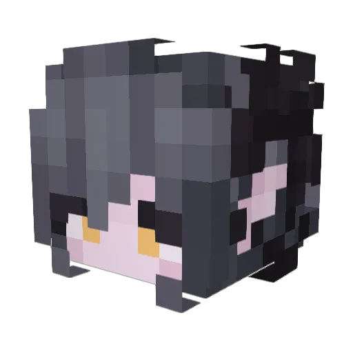 Riezzu Minecraft avatar head, 3D render