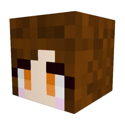 Rifera Minecraft avatar head, 3D render
