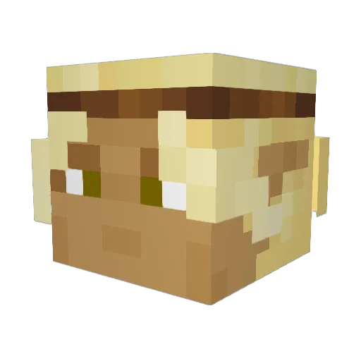 Rift115 Minecraft avatar head, 3D render