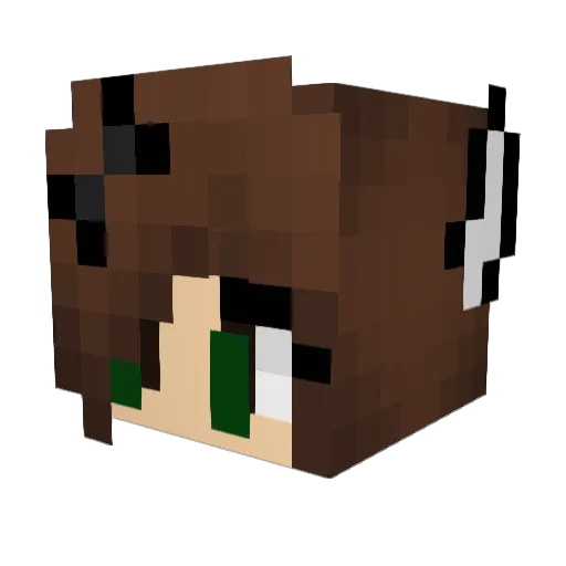 Rift_Dancer Minecraft avatar head, 3D render