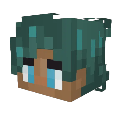 Rifty3967 Minecraft avatar head, 3D render