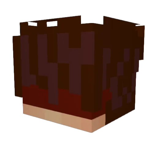Rifty__ Minecraft avatar head, 3D render