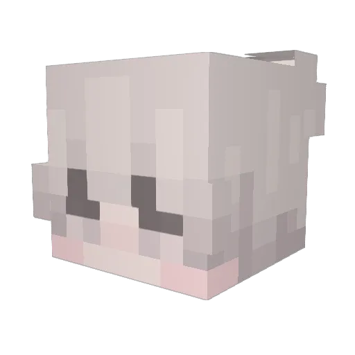 Riftyinnit Minecraft avatar head, 3D render