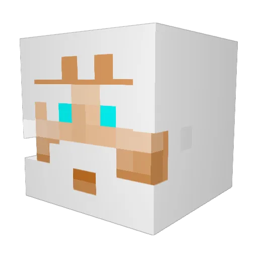 Riftyyyy1 Minecraft avatar head, 3D render
