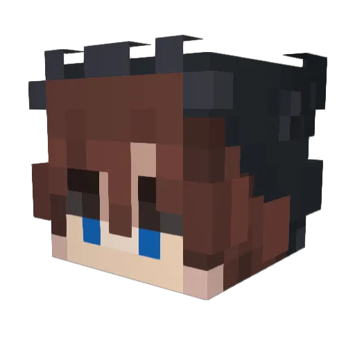 Riftzy40 Minecraft avatar head, 3D render