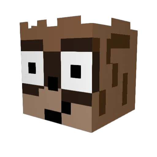 RigbyOooooohhhhh Minecraft avatar head, 3D render