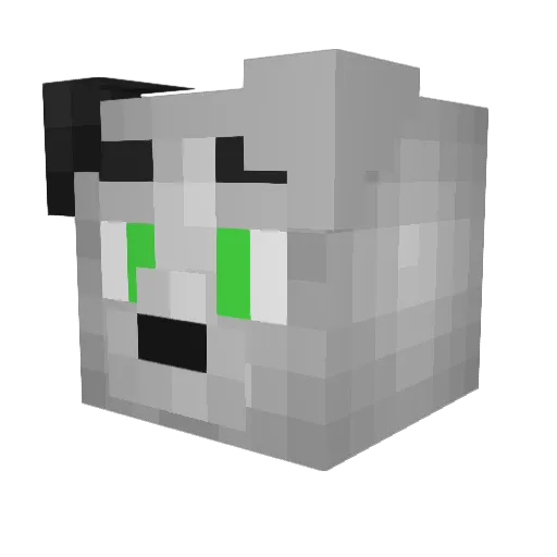 Rigel_Moonpaw Minecraft avatar head, 3D render