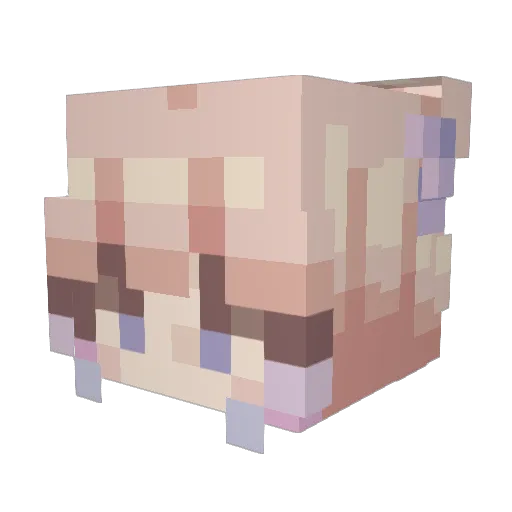 Rigelwave Minecraft avatar head, 3D render