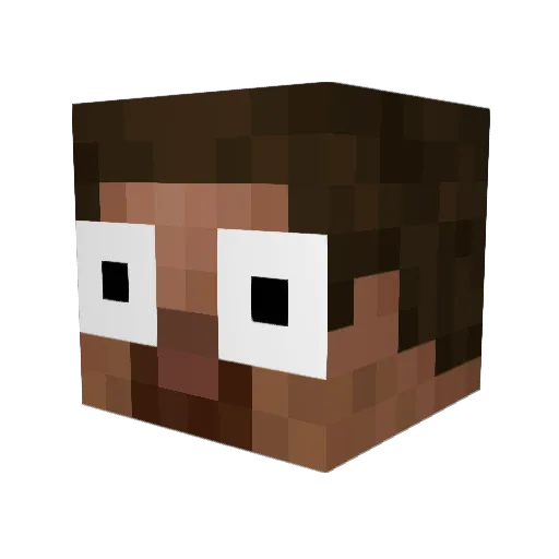 Rigglee Minecraft avatar head, 3D render