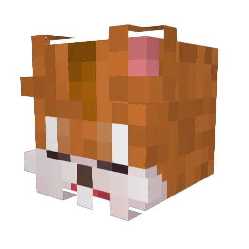 RiggleyRiggles Minecraft avatar head, 3D render