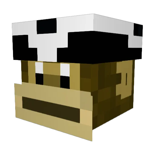 Riggs1k Minecraft avatar head, 3D render