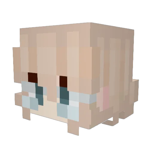 RiggsK Minecraft avatar head, 3D render
