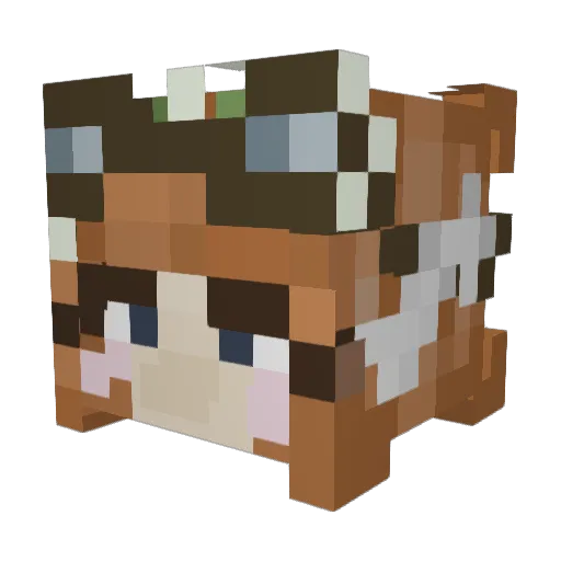 Right458 Minecraft avatar head, 3D render