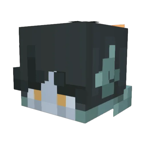 RightAsRaina Minecraft avatar head, 3D render
