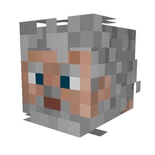 RightToSystem Minecraft avatar head, 3D render