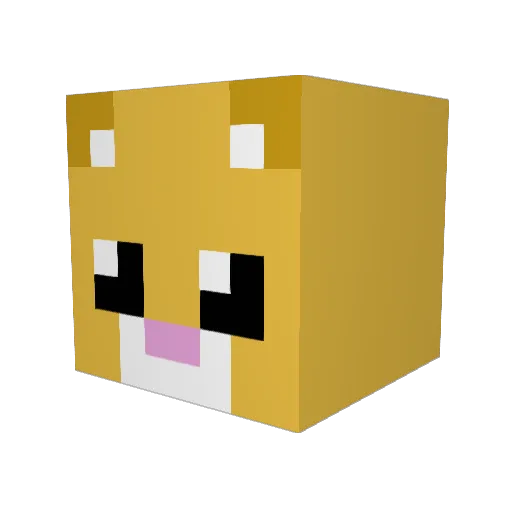 Rightcat Minecraft avatar head, 3D render
