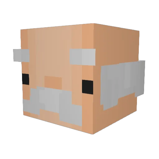 Righte0usness Minecraft avatar head, 3D render