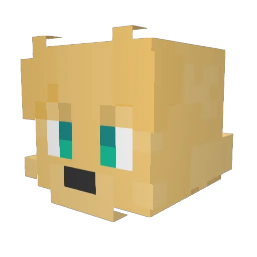 RigidityRaccTD Minecraft avatar head, 3D render