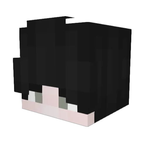 Rigmee Minecraft avatar head, 3D render
