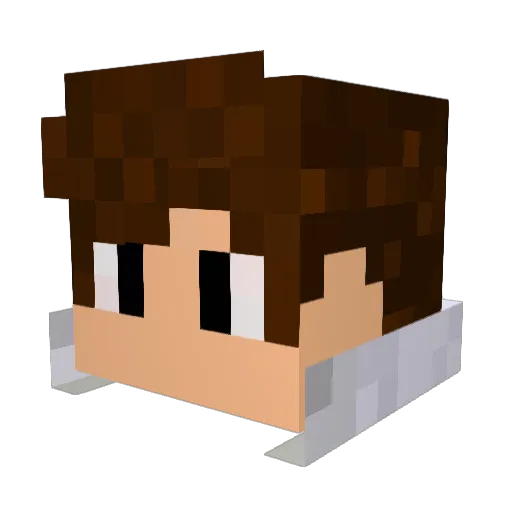 Rigsss Minecraft avatar head, 3D render