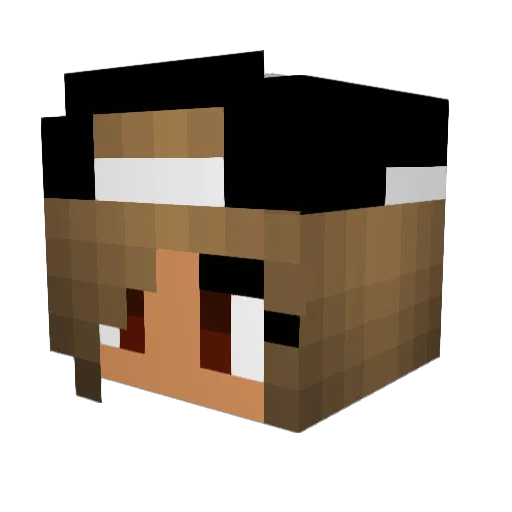 Rihanna__ Minecraft avatar head, 3D render