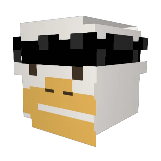 RiiC00 Minecraft avatar head, 3D render
