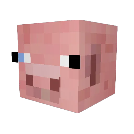 RiiPe25 Minecraft avatar head, 3D render