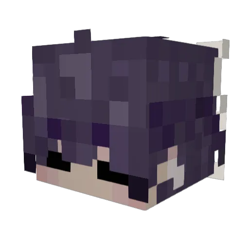 Rii_ Minecraft avatar head, 3D render