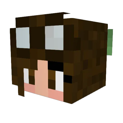 Riibo_ Minecraft avatar head, 3D render
