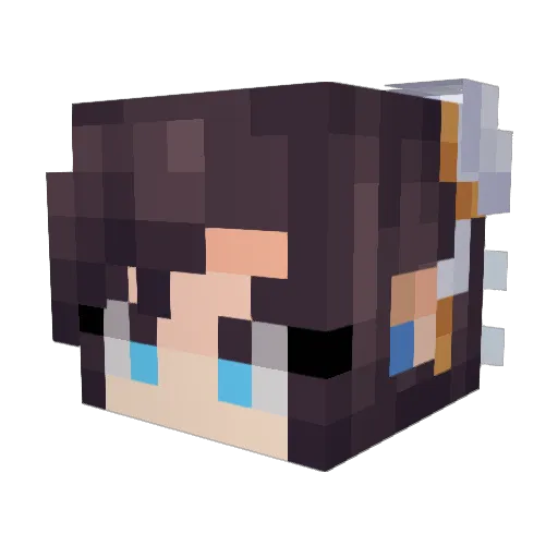 RiickMC Minecraft avatar head, 3D render