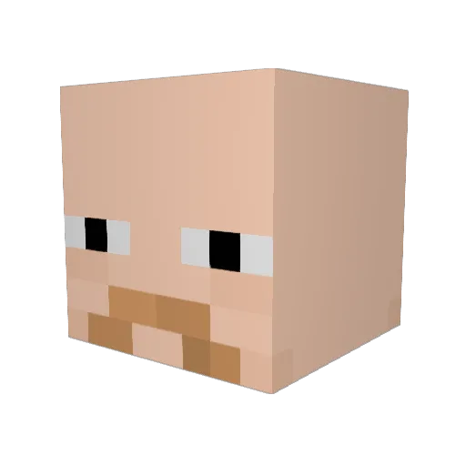 Riiigo22 Minecraft avatar head, 3D render