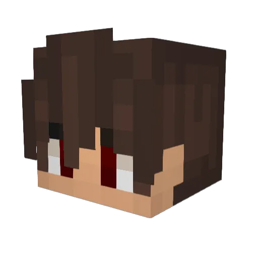 Riiiiinnnnn Minecraft avatar head, 3D render