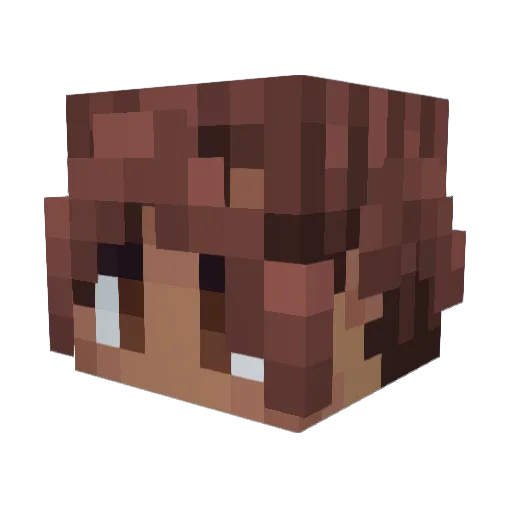 Riikaas Minecraft avatar head, 3D render