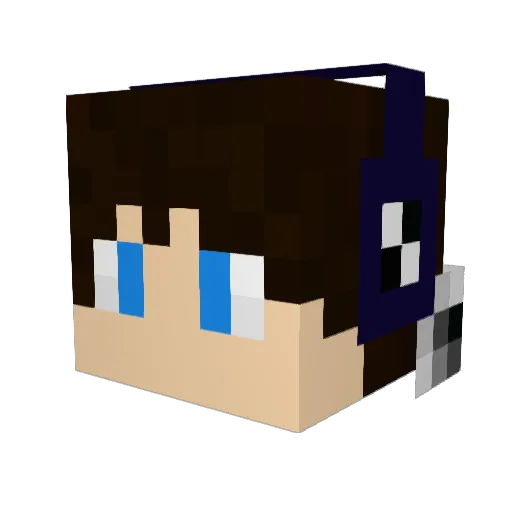 Riilen Minecraft avatar head, 3D render