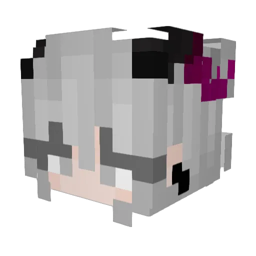 Riilene Minecraft avatar head, 3D render