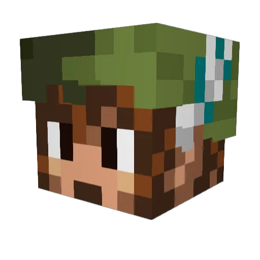 Riilkrii Minecraft avatar head, 3D render
