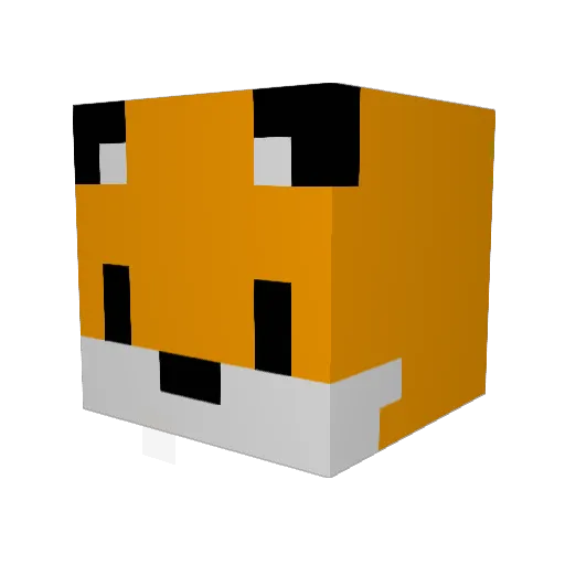 Riinn_rinn Minecraft avatar head, 3D render