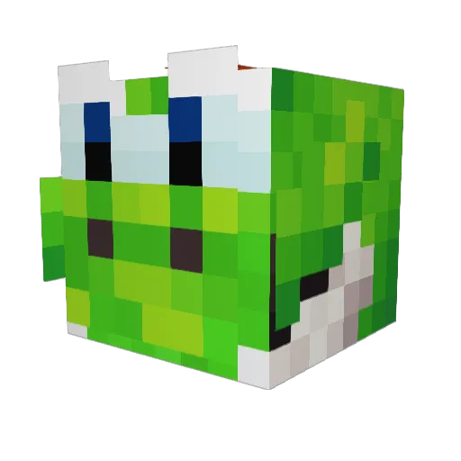 Riipiis Minecraft avatar head, 3D render