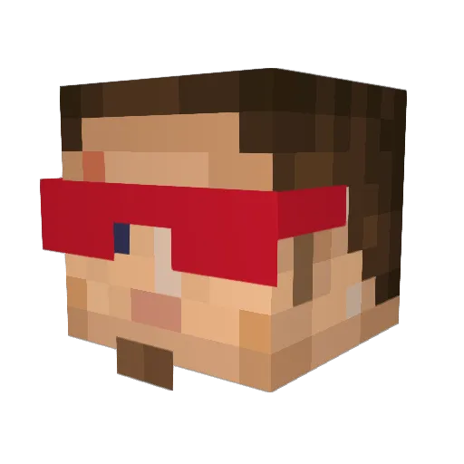 Riisipelto Minecraft avatar head, 3D render