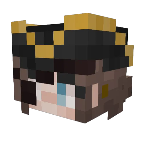 Riivenix Minecraft avatar head, 3D render