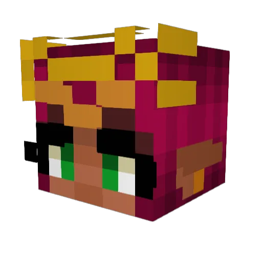 RijujuOnThatBeat Minecraft avatar head, 3D render