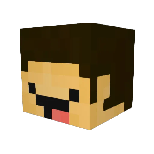 Rik1606 Minecraft avatar head, 3D render