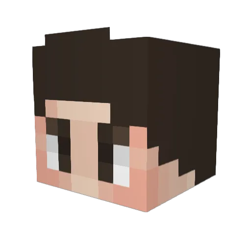 Rik177 Minecraft avatar head, 3D render