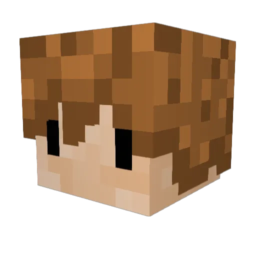 Rik21407 Minecraft avatar head, 3D render