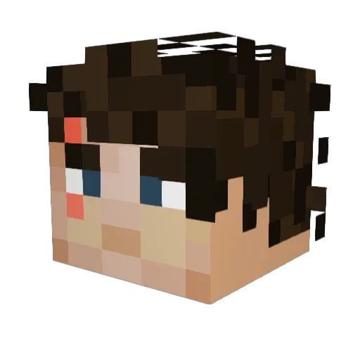 Rik87 Minecraft avatar head, 3D render