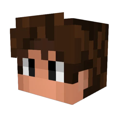 RikCraft1 Minecraft avatar head, 3D render