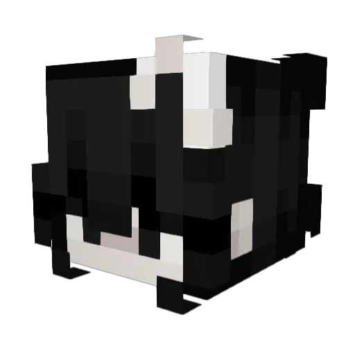 Rik_033 Minecraft avatar head, 3D render