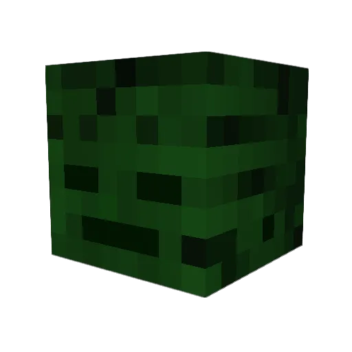 Rik_Rex Minecraft avatar head, 3D render