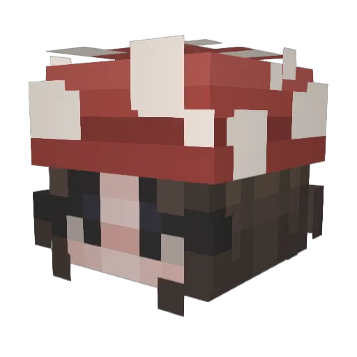 Rika355 Minecraft avatar head, 3D render